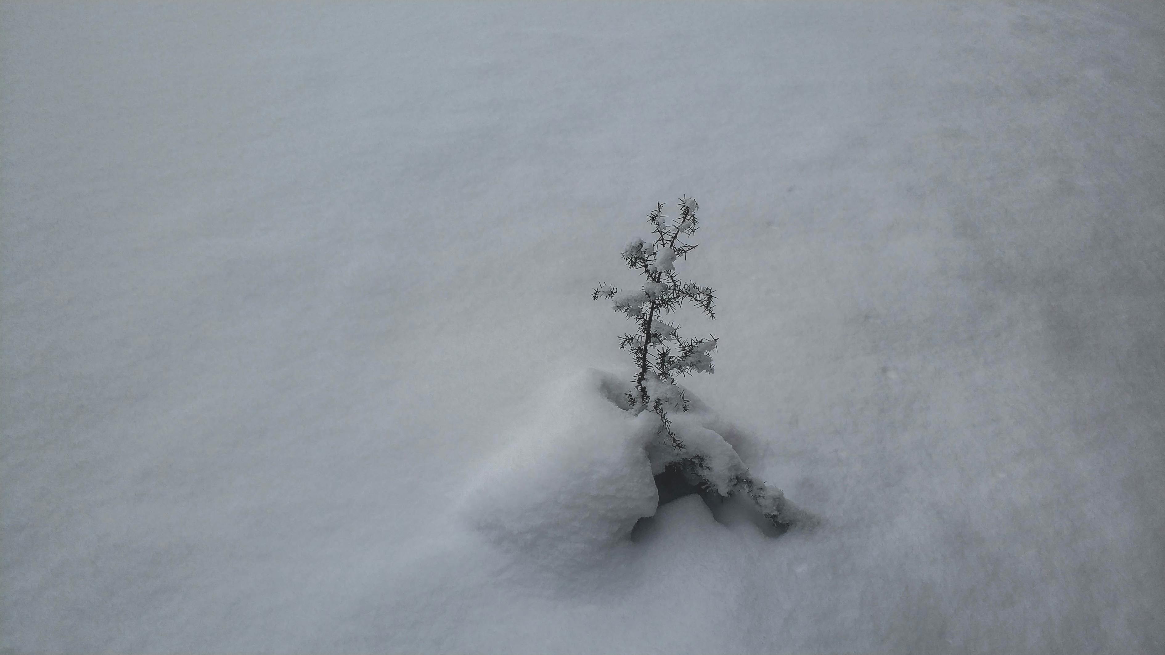 韩国冬天下雪影视剧的魅力与影响，探索韩剧冬季雪景的吸引力